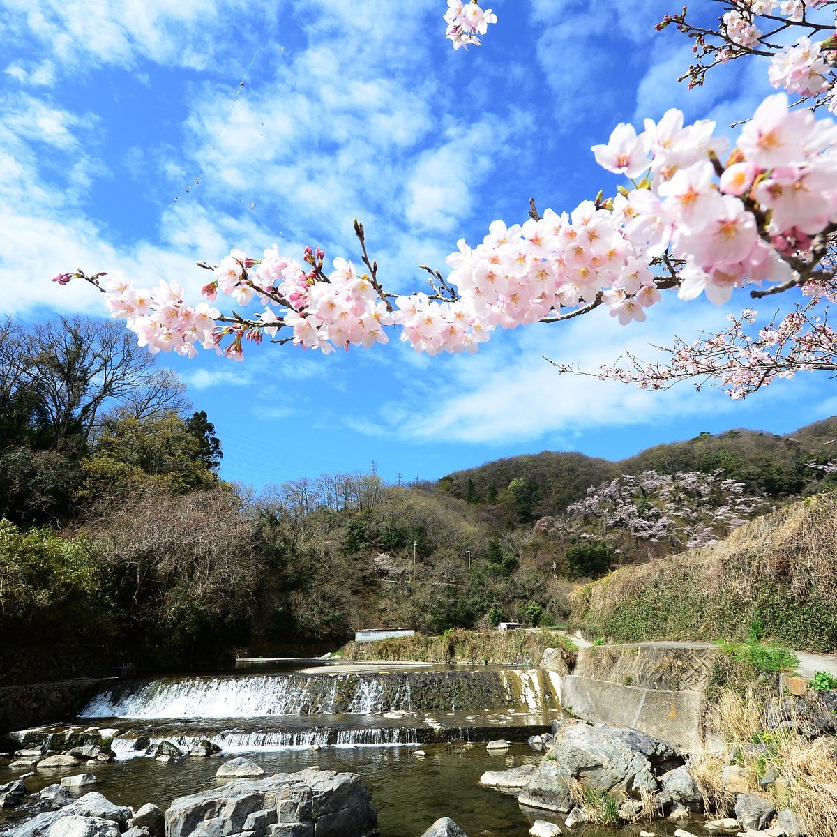 🏞️ 셋쓰쿄 공원 (Settsukyo Park) 이미지 4
